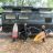 Ezytrail Ceduna 15 Quad MK4 caravan children enjoying outside shower